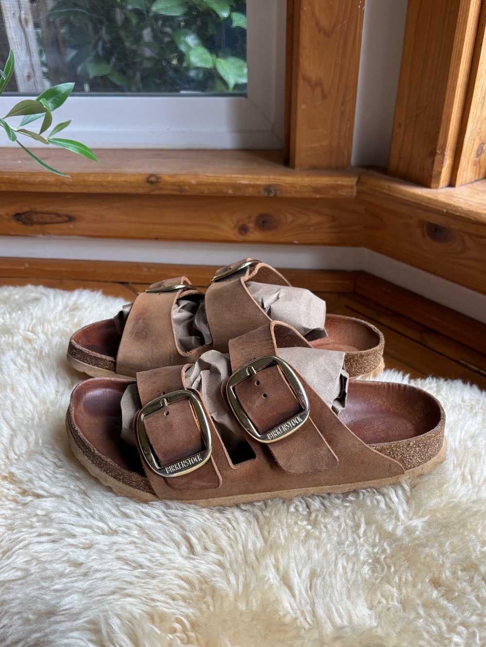 Birkenstock Big Buckle Arizonas